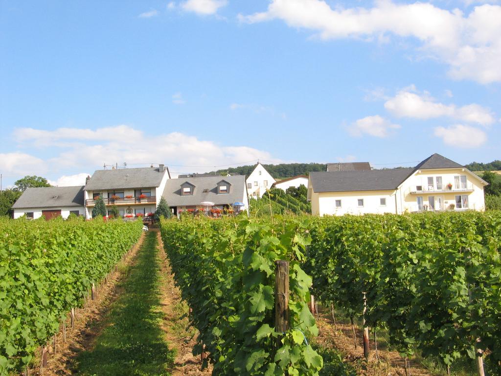Pension Und Weingut Moselblick Brauneberg Exterior foto